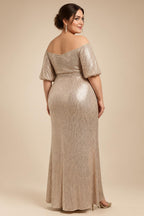 A-Line Pleated Chiffon One Shoulder Floor-Length Mother of the Bride & Groom Dresses (SHI22500625)