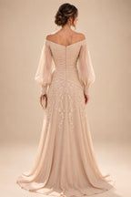 A-Line/Princess V-Neck Chiffon Maxi Mother of the Bride & Groom Dresses with Feather Trim & Pleats (SHI22501651)