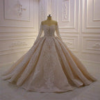Gorgeous Long Sleeve Off the Shoulder Appliques Lace Ball Gown Wedding Dress by BIZTUNNEL