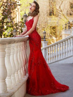 Gorgeous Mermaid Sheer Neck Sleeveless Applique Tulle Prom Dresses by misshow.com
