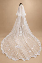 Two-Layer Wedding Veil with Appliques and Flowers Unique Long Bridal Veils with Comb AX