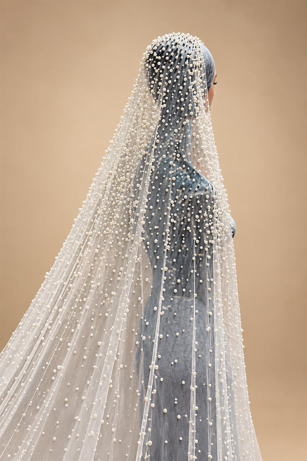 TOPQUEEN V139A Luxurious Wedding Veil with Pearls 5 Meter Long Bridal Veils Delicate Beaded Cathedral Length Veil Customizable