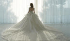 Dazzling Ball Gown Deep V-Neck Tulle Wedding Dress with Beaded Embroidery & Illusion Cut-Out Back Q-6022 (ZD16918)