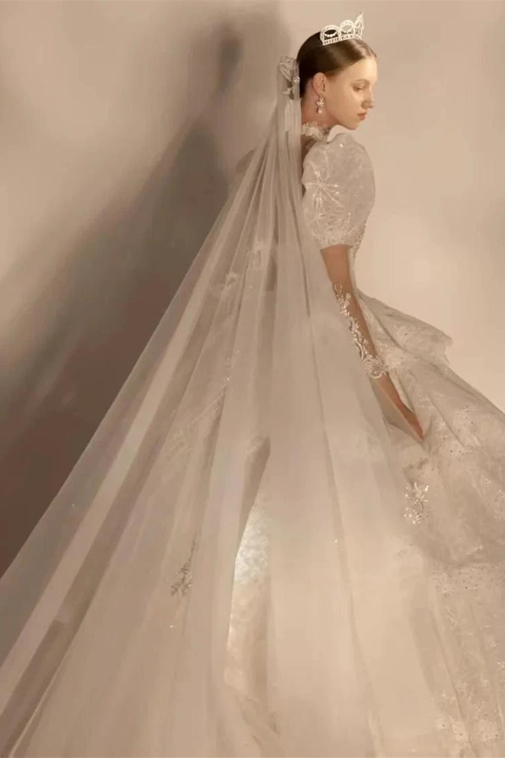 Vestido de novia de tul con cuello alto, mangas abullonadas, bordado de lentejuelas y cola con volantes en capas Q6020