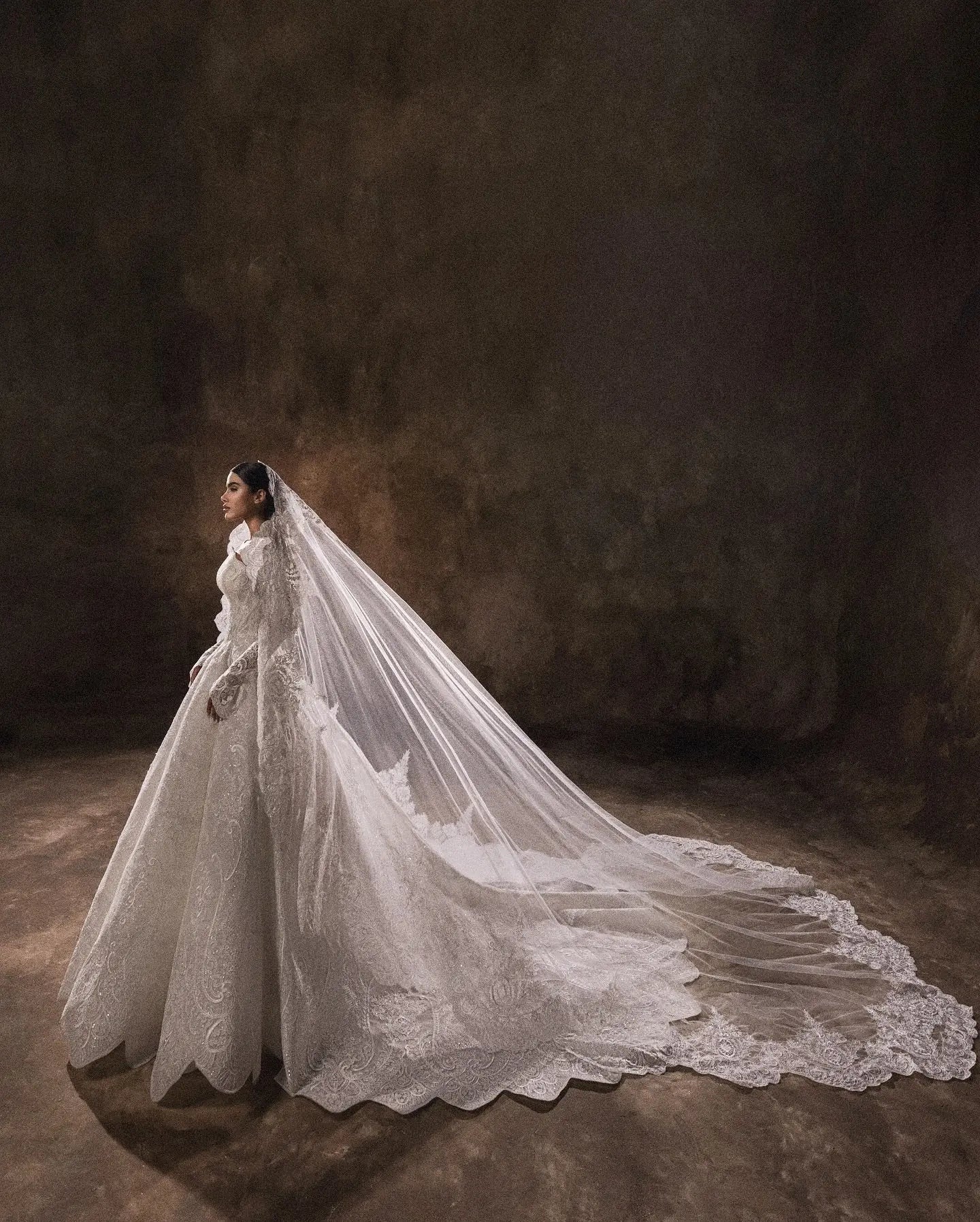 Luxury White Lace Long Sleeve Fitted Train Wedding Dress with Veil SW524