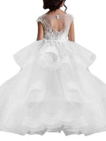 Long Ball Gown Tulle Lace Pageant Flower Girl Dresses with Sleeves - photo 2