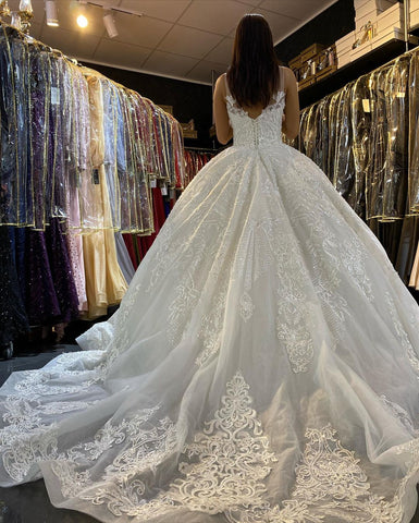 Long Princess V-neck Appliques Lace Backless Wedding Dress