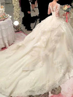 Long Sleeve A-Line Scoop Neck Court Train Organza Wedding Dresses by BIZTUNNEL