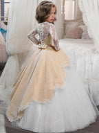 Long Sleeve Princess Tulle Jewel Neck Christmas Birthday First Communion Flow… - photo 4