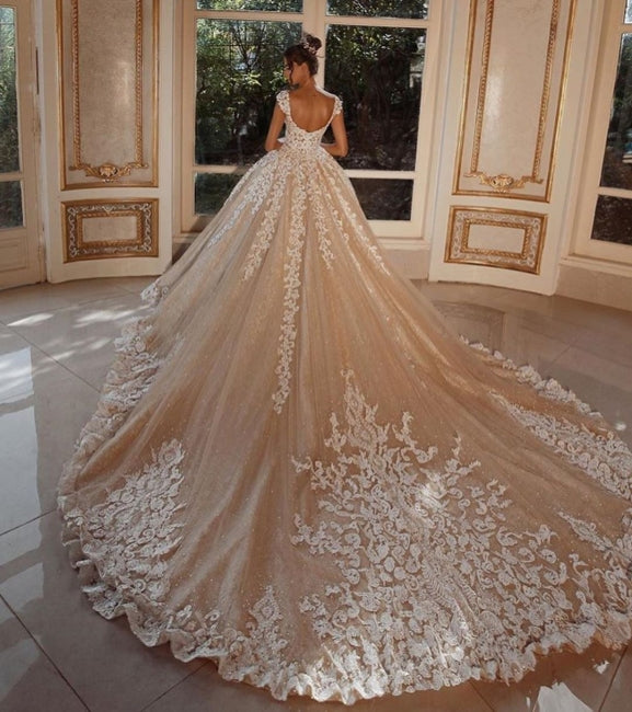 Luxury Long Glitter Wedding Dresses Princess with Lace