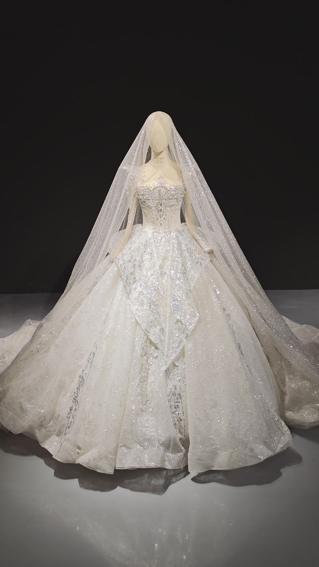 Stardust Cathedral Veil Gown (ZD16868)