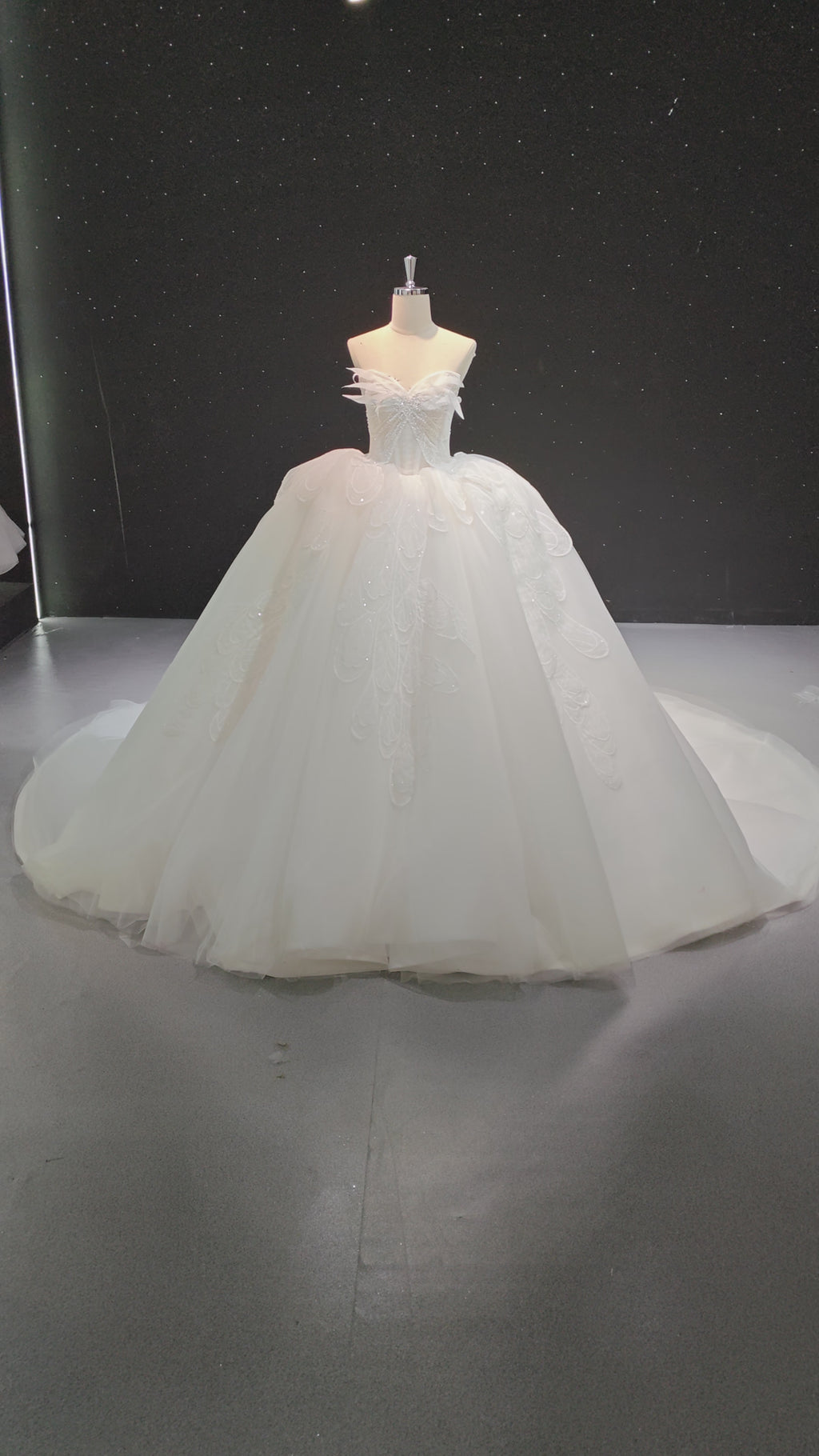 Feather Wing Ballgown (ZD16848)