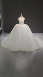 Feather Wing Ballgown (ZD16848)