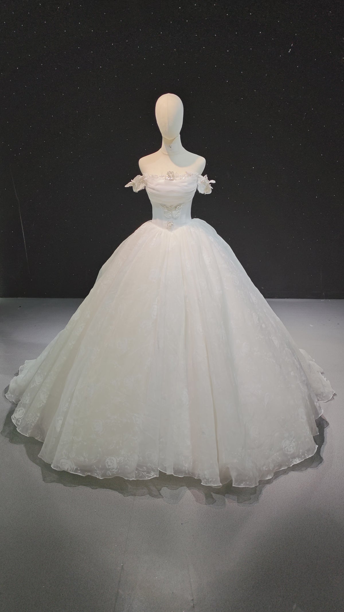 Papillon en tulle épanoui