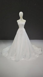 Lace Veil Serenade (ZD16850)