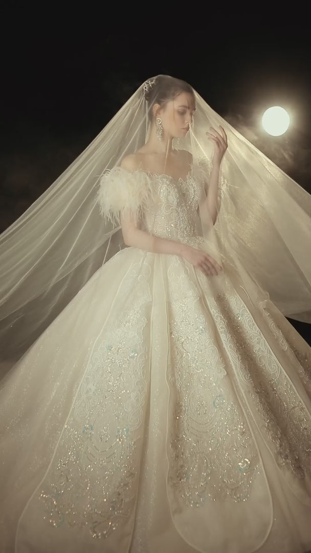 Lujoso vestido de novia con hombros descubiertos, escote corazón, ribete de plumas, encaje con cuentas y cola brillante E-306