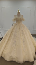 Vestido de Baile Creme com Brilho, Decote Ombro a Ombro, Saia Bordada com Cristais e Gola com Franjas