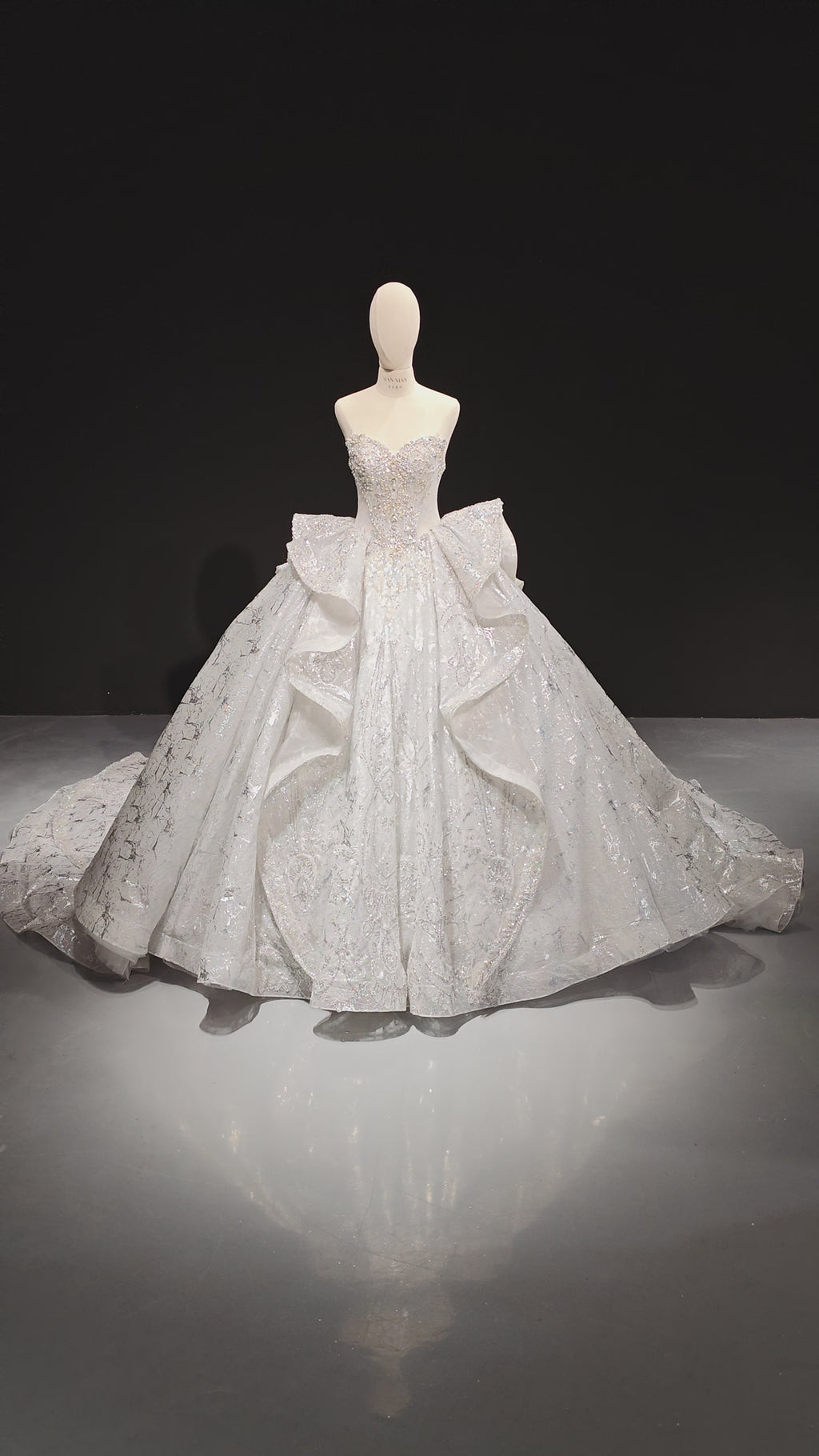 Aurora Lace Ballgown (ZD16863)