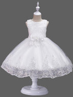 Princess Lace Tulle Sleeveless Jewel Neck Wedding Birthday Flower Girl Dresses - photo 3