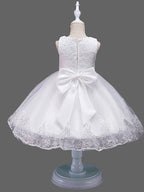 Princess Lace Tulle Sleeveless Jewel Neck Wedding Birthday Flower Girl Dresses - photo 4