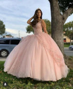 Pink Princess Ball Gown Quinceańera Dress Sweet 16 Dress Y1095 by simplepromdress