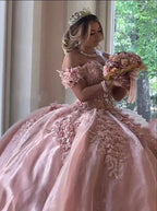 Luxurious Off The Shoulder Pink Ball Gown,Quinceanera Dress,Sweet 16 Dress Y1114 by simplepromdress