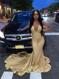 Charming Mermaid V Neck Evening Dress Sexy Evening Gown Y842 by simplepromdress