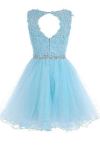 Scoop Short Blue Zipper-up Tulle Homecoming Dress PG013 by pgmdress