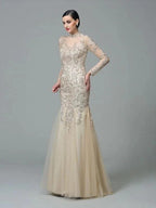 Sheath/Column High Neck Applique Long Sleeves Long Net Prom Dresses by misshow.com
