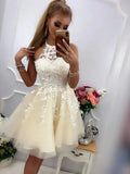 Short A-line Halter Tulle Lace Prom Homecoming Dresses by BIZTUNNEL