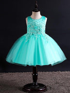 Short Ball Gown Tulle Sleeveless Jewel Neck Wedding Party Flower Girl Dresses - photo 5