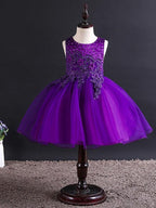 Short Ball Gown Tulle Sleeveless Jewel Neck Wedding Party Flower Girl Dresses - photo 6