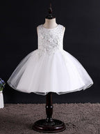 Short Ball Gown Tulle Sleeveless Jewel Neck Wedding Party Flower Girl Dresses - photo 1