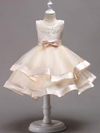 Short Princess Jewel Neck Wedding First Communion Pageant Flower Girl Dresses - photo 1