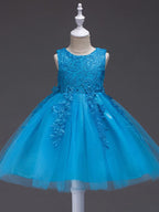 Short Princess Lace Tulle Jewel Neck Wedding First Communion Birthday Flower… - photo 5