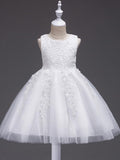 Short Princess Lace Tulle Jewel Neck Wedding First Communion Birthday Flower… - photo 1