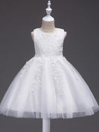 Short Princess Lace Tulle Jewel Neck Wedding First Communion Birthday Flower… - photo 1