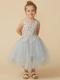 Short Princess Tulle Sleeveless Jewel Neck Pageant Flower Girl Dresses - photo 1