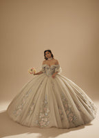Sage Blush Puff Sleeve Quinceanera Dress 3D Floral Glitter Tulle Ball Gown with Corset (ZD17576)