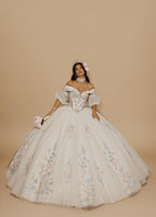 Sage Blush Puff Sleeve Quinceanera Dress 3D Floral Glitter Tulle Ball Gown with Corset (ZD17576)